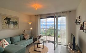 Appartement Avec Vue Imprenable Sur Le Lac Leman